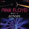 Z Pink Floyd performed by echoes